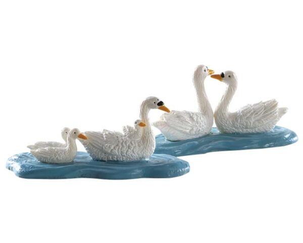 Cisnes @*
