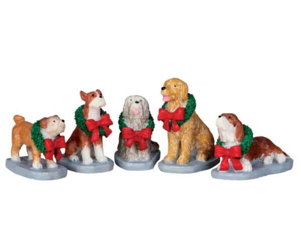 Conjunto de perros**