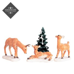 Dad and fawns*