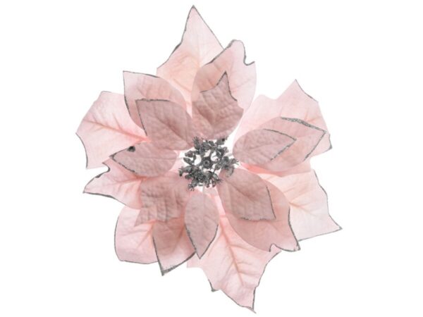 Flor ponsetia blush pink