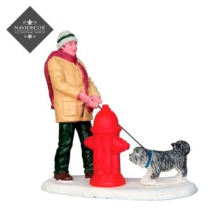 Hombre paseando perro