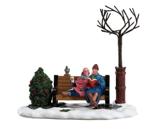 Navidad acogedora*