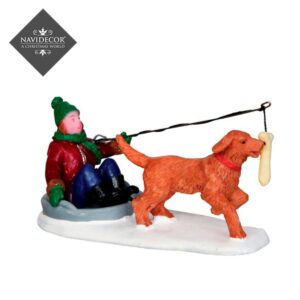 Niño y perro jugando*